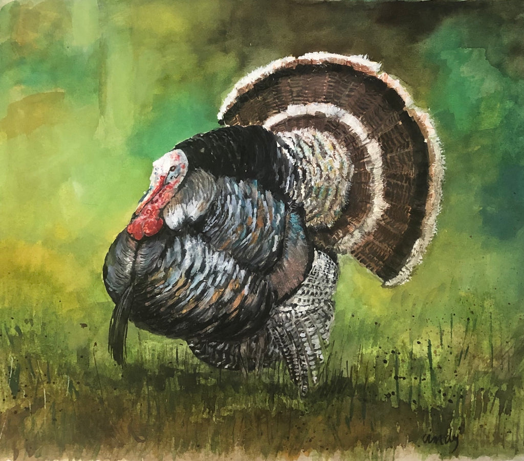 Turkey - Painting