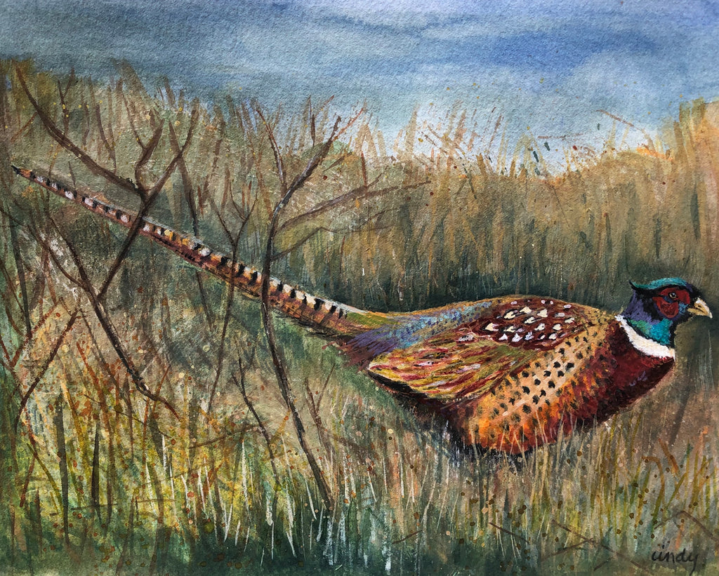Pheasant - Painting