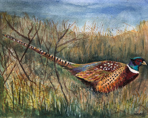 Pheasant - Painting