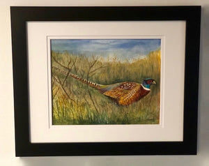 Pheasant - Painting